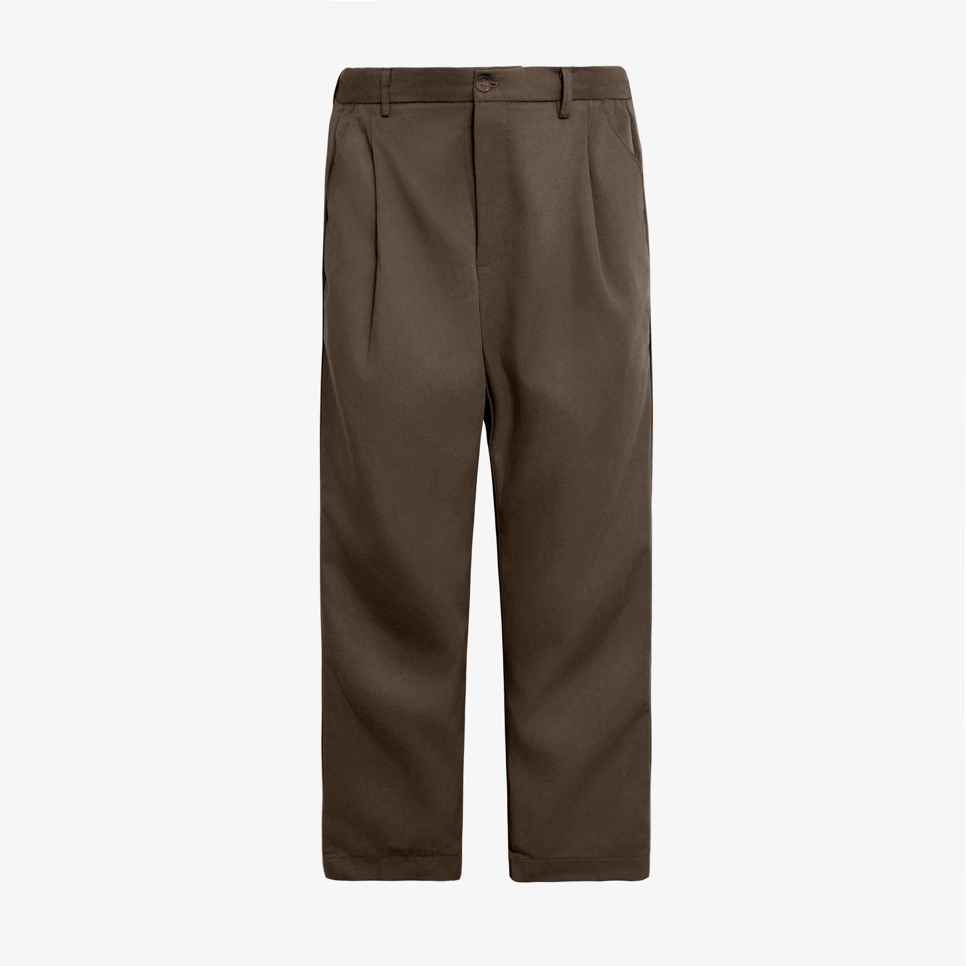 Sabh Pleated Pants - Brown